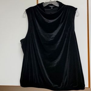 Express Velvet Sleevless Top